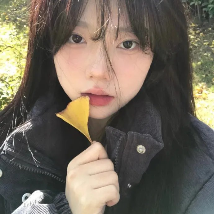 新罗曼蒂克